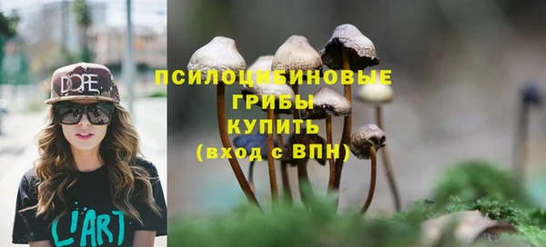 PSILOCYBIN Верея