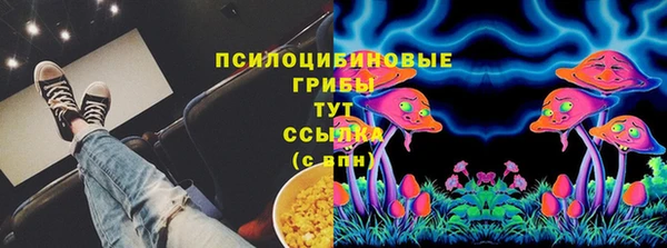 стафф Волоколамск