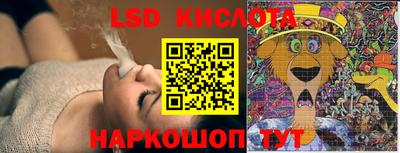 молекула духа Берёзовский