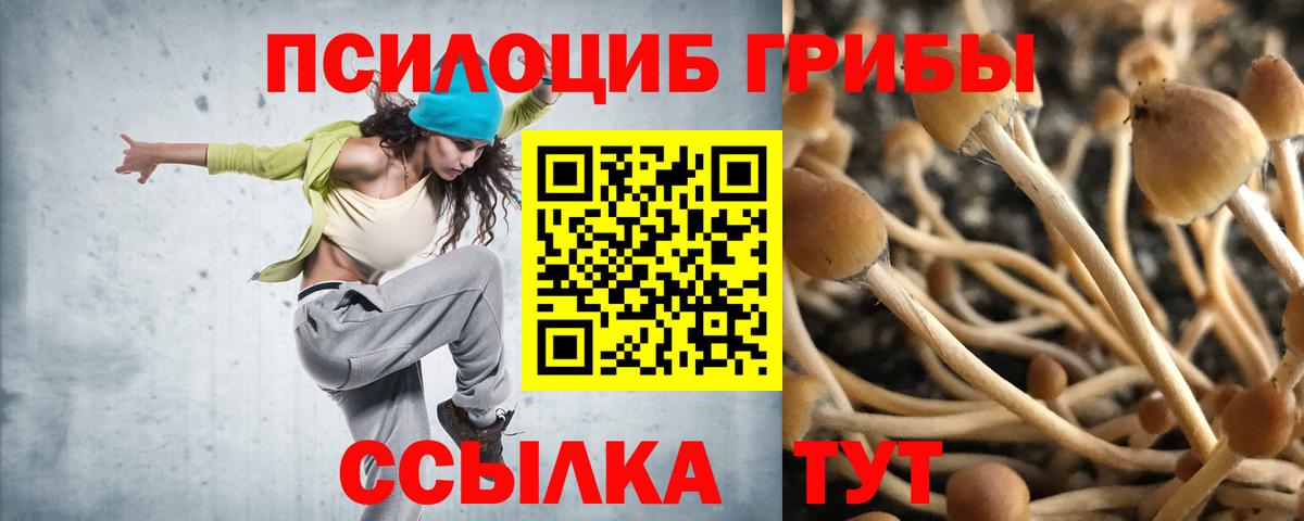 Дагестанские Огни  Псилоцибиновые грибы Psilocybine cubensis  Вход с VPN 